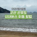 99 | 군산 선유도 뚜벅이 시내버스로 이동 방법 99번 버스 시간표 후기