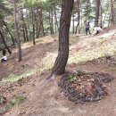 한국산림복지진흥원하늘숲추모원 이미지