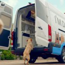 아임동물병원 이미지