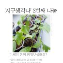 주민모임지원사업 '지구생각나' 3번째 나눔 ＜수세미 모종 나눔＞ 이미지