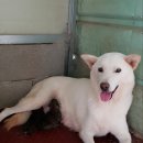 신기 이미지