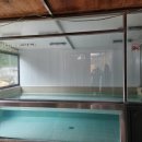 리틀프린스 이미지