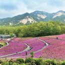 버스정류소_주공 3 4단지 이미지