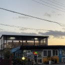 볼레낭개 | [제주 서귀포] 올레 할망집 , 볼레낭개할망집 향토음식 고메기고사리