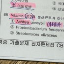 한국폴리텍 VI 대학 영남융합기술캠퍼 | 극P의 식품안전기사 필기 @5일컷@ 쌈뽕한 합격 후기⚡️(장문주의)