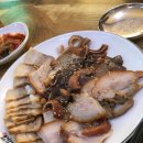 주박사네 이미지