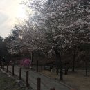 (주)이에스인터내셔날 | 수원 신사옥 준공식 출장뷔페