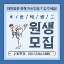 석사경희대한국태권도장 | ★하안비룡경희대석사태권도 | 광명시 하안동 우수태권도장 선정★