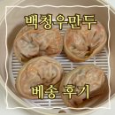 [내돈 내산] 백청우 만두 배송 후기 / 국내산 김치로 만든 내 인생 만두!!