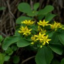 기린초등학교 이미지