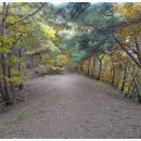 유격장 지나 이미지