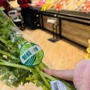 싸다마트 이미지