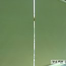 신월동주유소 이미지