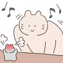 임춘식