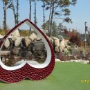 덕평자연휴게소 이미지