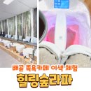 짝꿍숲어린이집 | 배곧 카페 추천 힐링숲라파 족욕 이색체험후기