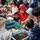 자연愛가 이미지