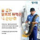 해군696기 병과안내 [갑판병/조타병/병기병/전탐병/전자전병] 이미지