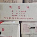 한농종묘사 이미지