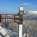 마음부동산중개 이미지