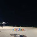 부산 송정해수욕장 강아지 산책 푸드 트럭 야시장 후기