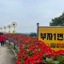 (주)서경엔카 하동점 | 의령 리치리치 페스티벌 현장 후기