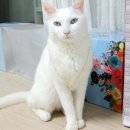 금호탕 이미지
