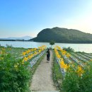 경주, 포항 여행기 (3) 경주 2일차 (feat. 송대말등대 스노클링, 해바라기 바실라카페, 대산도예, 대릉원)