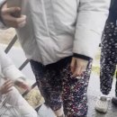 배꽃길 41 이미지