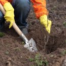 자경농장 이미지