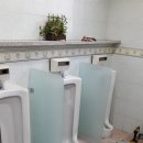 개신초교 이미지