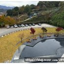 백운산생태관 2층 네이버블로그