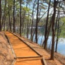 평화황토 | 진천 드라이브 코스 → 미르숲 황토길 | 초평호 맨발걷기 후기·몇 분 걸릴까