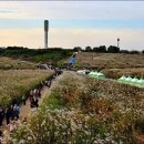 하늘공원 이미지