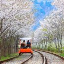 마중가는길 이미지