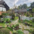 진보흑염소 이미지