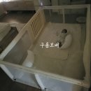 수정-91 | [육아일기] 91~100일간의 기록_백일잔치, 새 침대, 돌잔치 예약