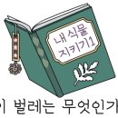 에코파크성지 이미지