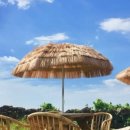 아는언니 이미지