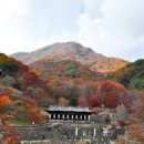 삼성궁 이미지