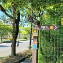 북평철길~이도사거리 버스정류장 | 해파랑길 33코스 추암해변-촛대바위-한섬해변-묵호역 여행기록