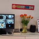 일산점기아오토큐 이미지