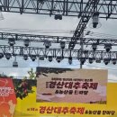 도롱팜 네이버블로그