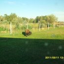 베어스톤 이미지