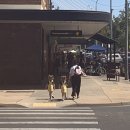 아리아 호스텔 이미지