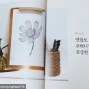 연필그림중급 이미지