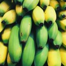 바나나! 색깔에 따라 다르게 먹어야 한다? 먹는 방법과 효능 이미지