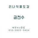 문구나무