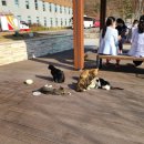 경상국립대학병원 기숙사 이미지