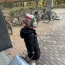 한림대학교동탄성심병원 | [한림대학교동탄성심병원] 어린이 만 6세 아데노 편도 수술 후기#2